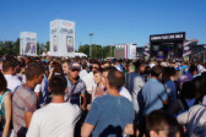 Работа 2633627