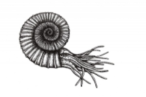 Работа 2796753