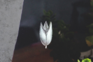 Работа 2917790