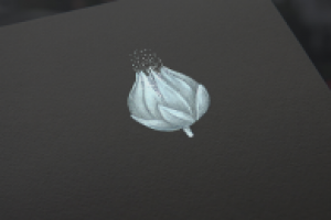 Работа 2917774