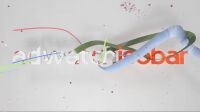 img1896917.png