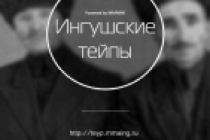 Проект «Тайпы» для РИ