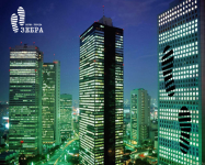 Зебра