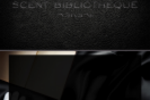 Оформление презентации для проекта Scent Bibliotheque