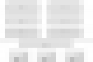 Прототип к одностраничнику "Ягоды Годжи"