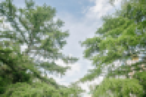 Работа 3037200