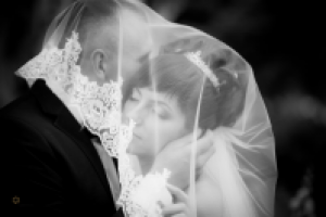 Работа 2325547