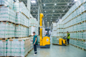 Работа 3037205