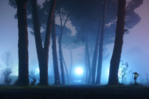 Тест Sony RX1. Часть III