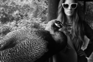 Работа 2119466