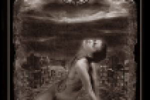 Работа 2119481