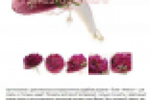 Более 150 описаний букетов