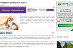 Поведение домашних кошек