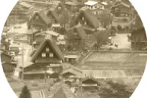 Коттеджный поселок "Авиатор"