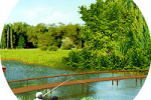 Поселок Рождествено