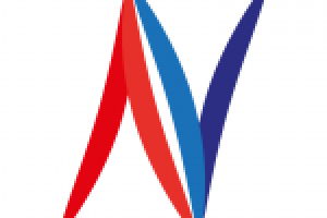 Логотип для netfleet CJSC