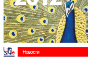 Сопровождение сайта lifestylefashion.fi