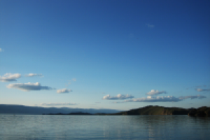 Работа 2103568