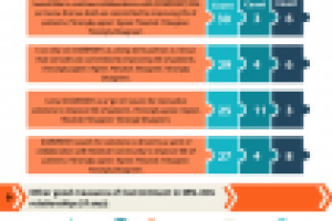 Инфографика / Designing MSL-KOL Relationship