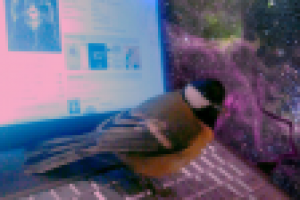 Работа 1481185