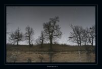 img88473.png