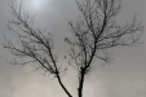 фотографиКа