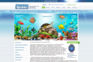 Разработка интернет магазина аквариумов