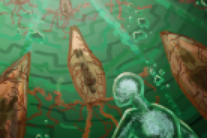 Подводный мир клеток