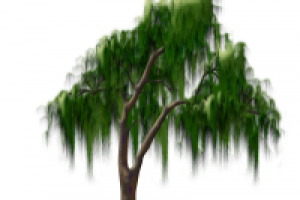 Работа 1761879