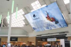 Визуализация логотипа