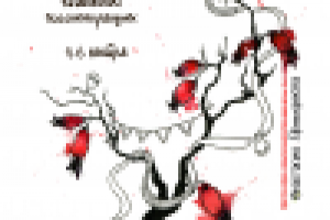 Открытка для фестиваля "Морс"