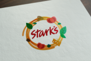 Ребрендинг фирменного стиля сети ресторанов Stark's