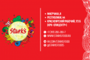 Вариант фирменного стиля Stark's