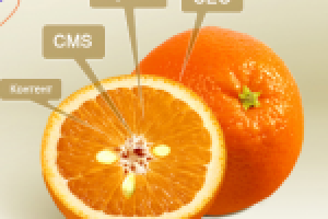 Веб студия Александра Продовикова