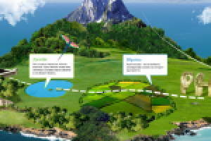 Инфографика для студии веб-дизайна