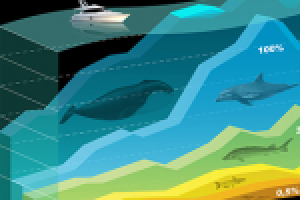 Инфографика