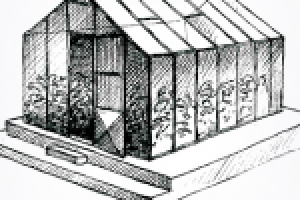 Заботливый фермер