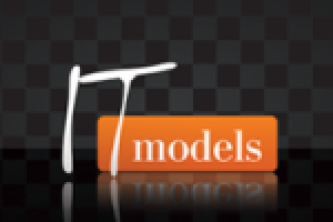 IT-models
