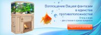 img1898699.png