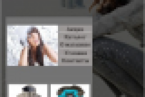 Стиляги (интернет магазин)