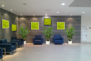 Озеленение конгрес-холла Вертол-Экспо