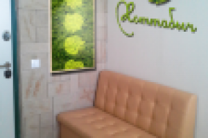 Логотип из мха