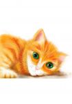img2791554.png