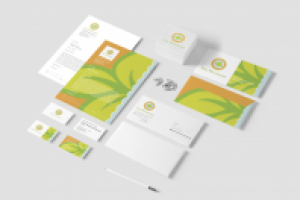 Деловая документация для микрораийона "Град Московский"