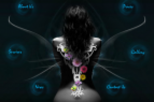 Дизайн сайта + флеш анимация