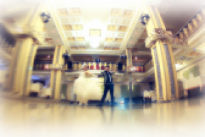 Работа 2501137