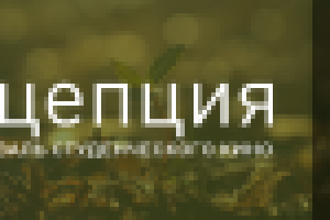 Разработка логотипа для регионального фестиваля кино