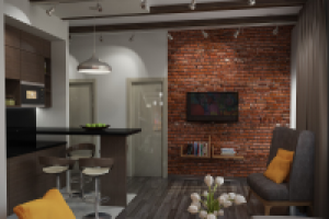 Кухня - гостиная в стиле Лофт