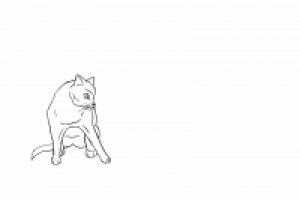 кошка  идет (черновик)