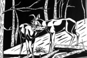 Работа 1570730